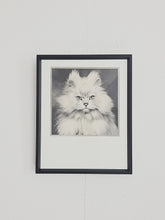 Load image into Gallery viewer, GLAMOUR PUSS, 1953