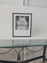 Load image into Gallery viewer, GLAMOUR PUSS, 1953