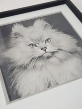 Load image into Gallery viewer, GLAMOUR PUSS, 1953
