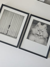 Load image into Gallery viewer, GLAMOUR PUSS, 1953