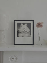 Load image into Gallery viewer, GLAMOUR PUSS, 1953