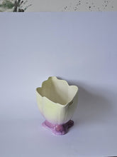 Load image into Gallery viewer, SHERBET CERAMIC BOWL, ROYAL WINTON
